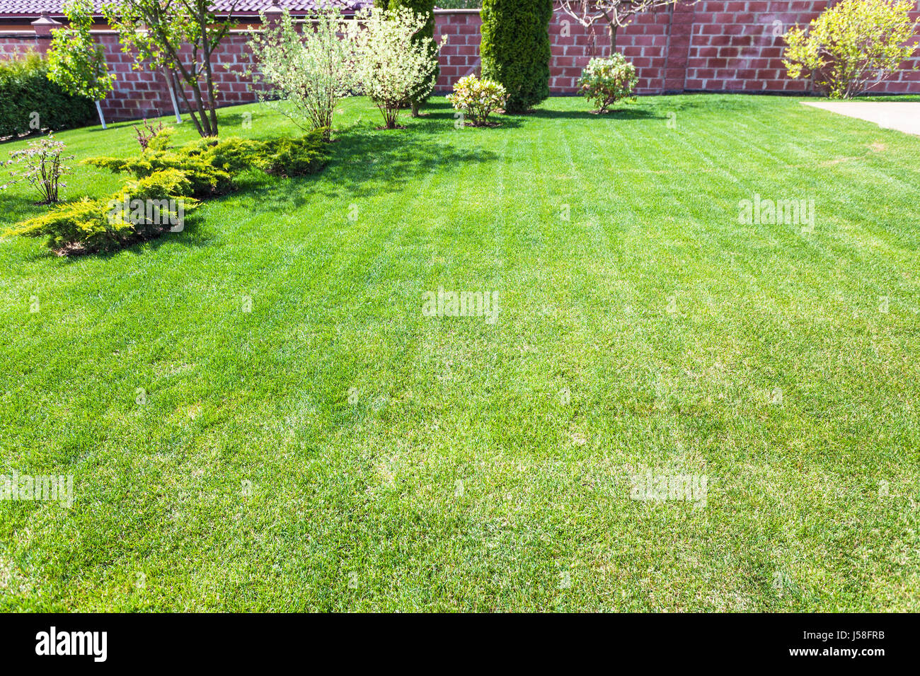 well-groomed lawn with decorative bushes on backyard of country house in spring Stock Photo