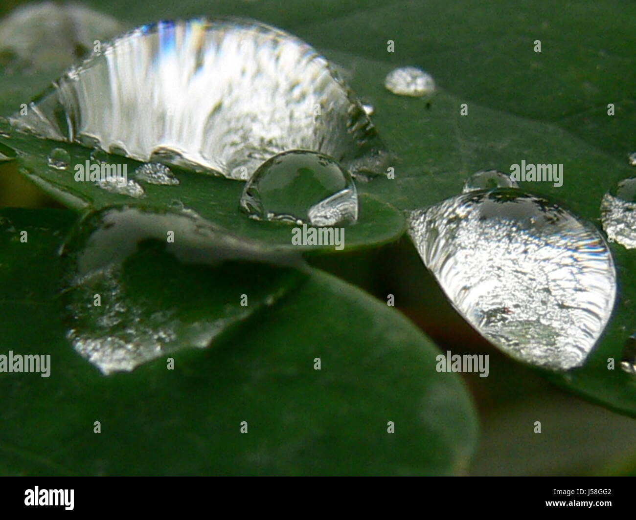 mirror drops pair Stock Photo - Alamy