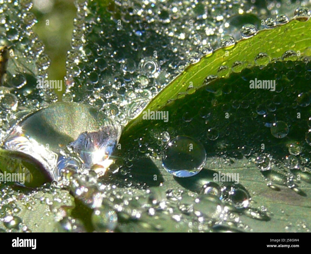 universe of the mirror drops Stock Photo - Alamy