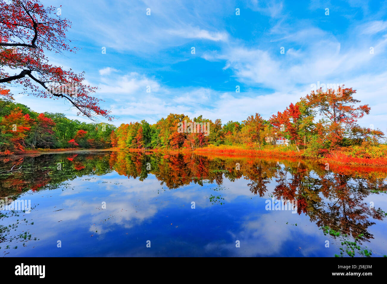 Autumn colors reflecting in a pond next to the Chesapeake Bay in Maryland Stock Photo