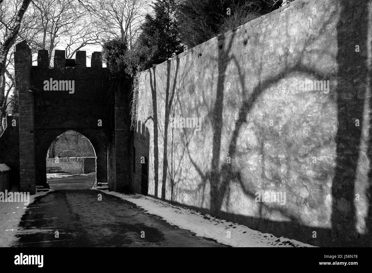 entrance,wall,shadow play,road way,shaddow,shadow,shadows,schlo,baumschatten Stock Photo