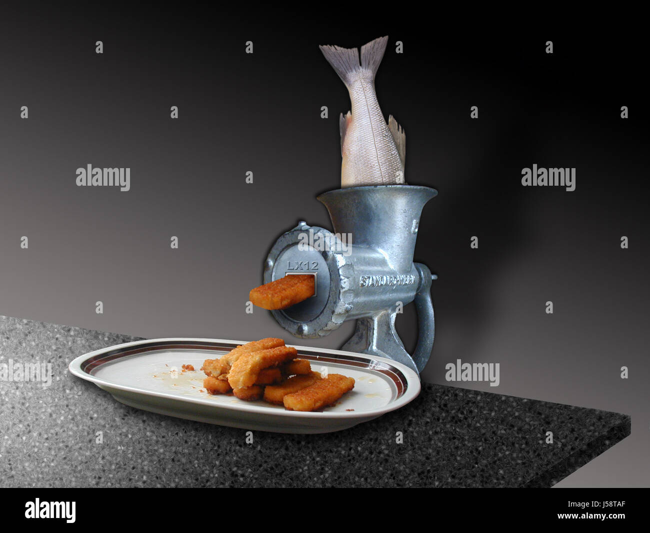 food aliment kitchen cuisine plate pisces mincer eating eat eats dine dining Stock Photo