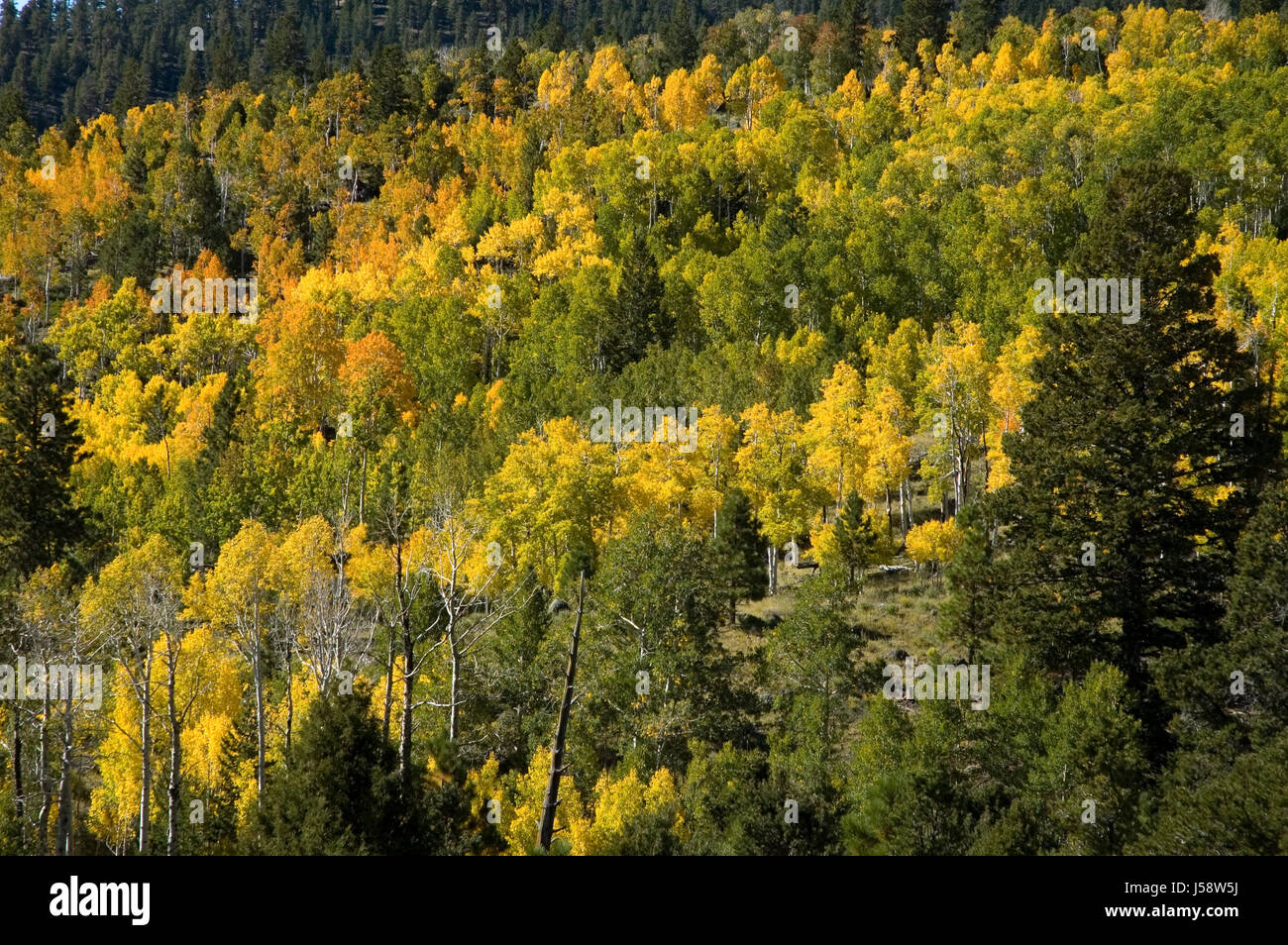 Aquarius Plateau High Resolution Stock Photography and Images - Alamy