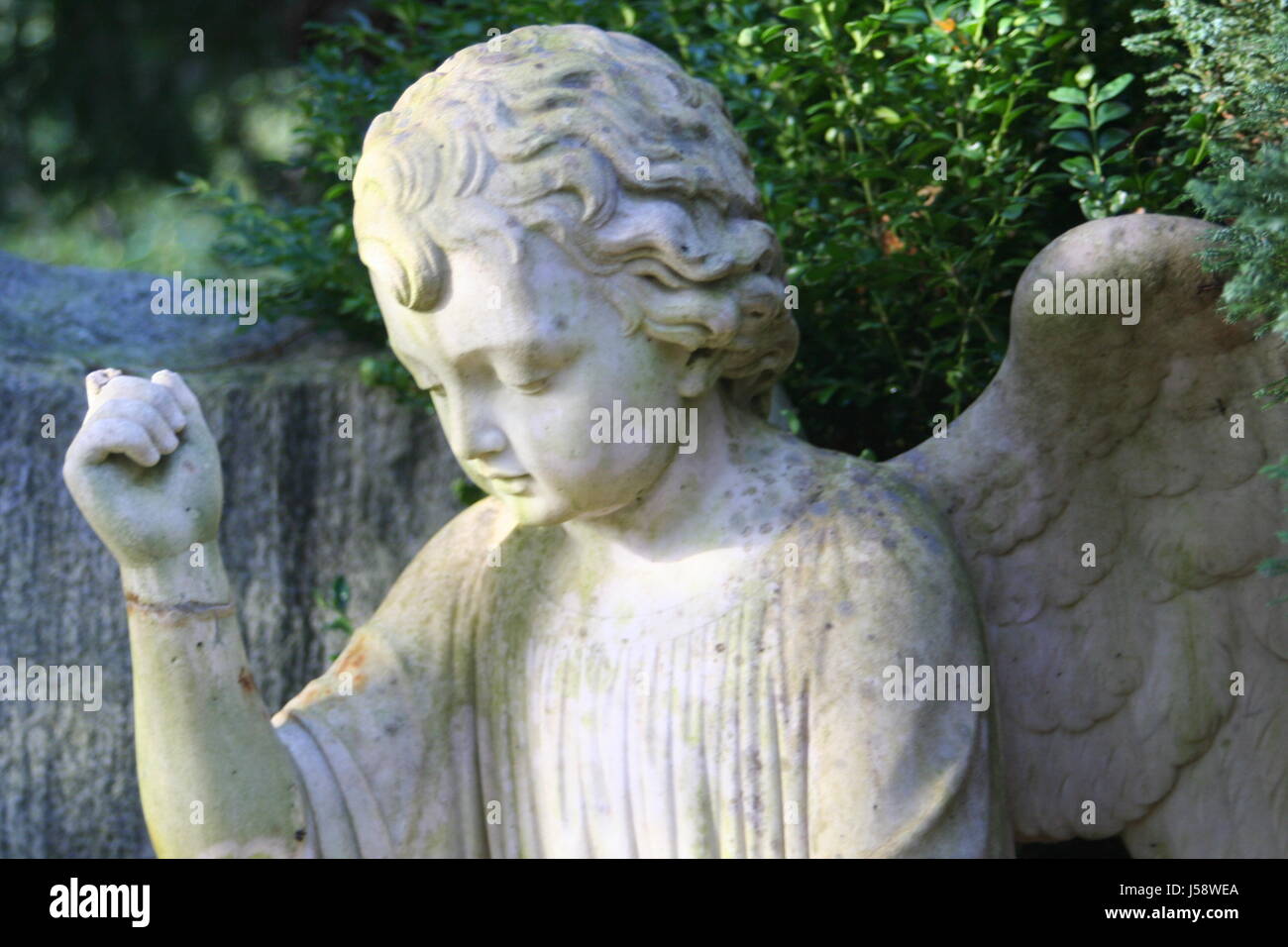 remember death green sad boxtree wing cemetery gravestone tombstone