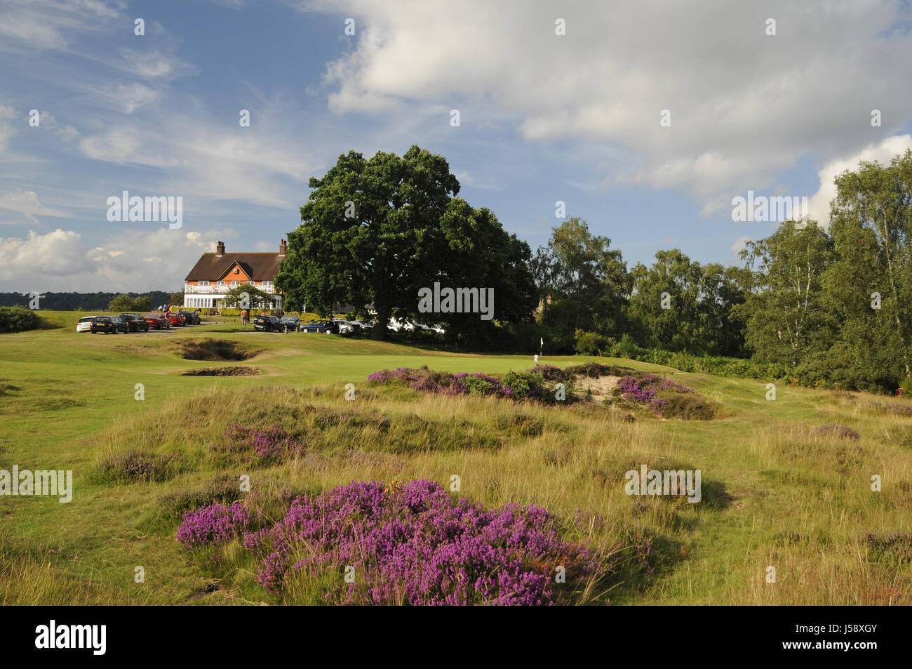 View over heather and fescue grass to small bunkers and 9th Green and