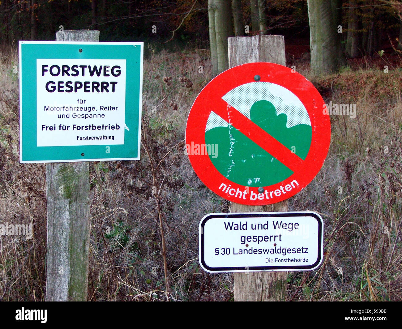 Forest Inaccessible Begehungsverbot hi-res stock photography and images - Alamy
