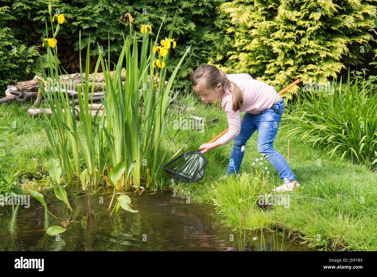 Garden pond net hi-res stock photography and images - Alamy