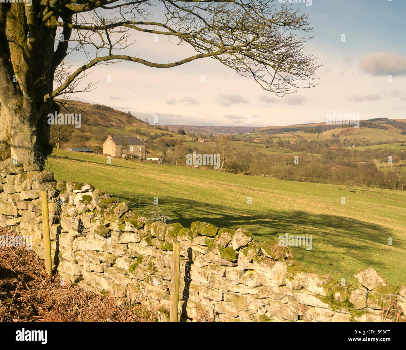 View of Rosedale, North Yorkshire, from path above Hollins Farm. Stock Photo