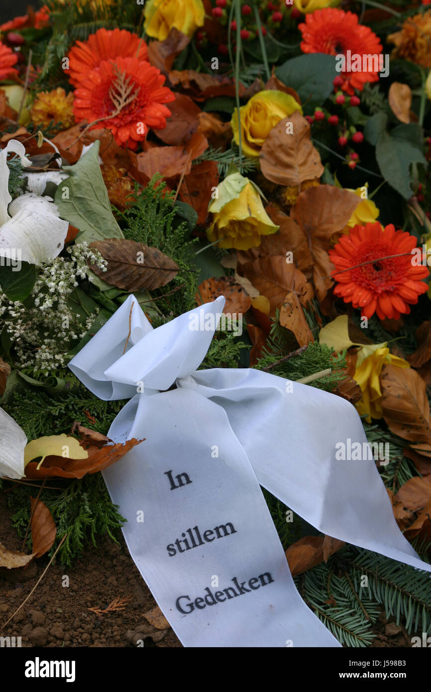 death die flower flowers plant cemetery mourning sorrow decayed