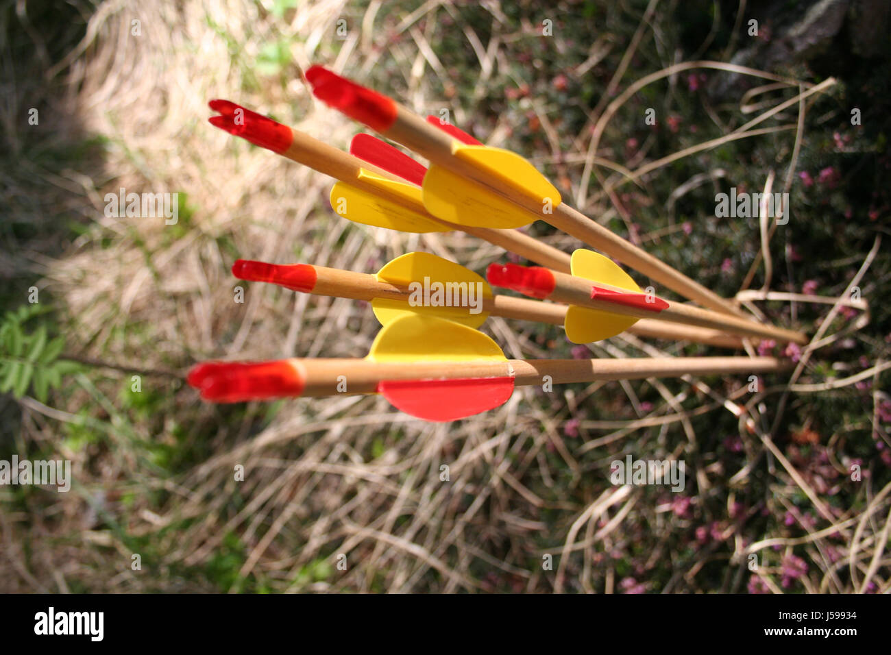 hit sport sports wood arc disc shoot darts arrows sharpen firing arcs ...