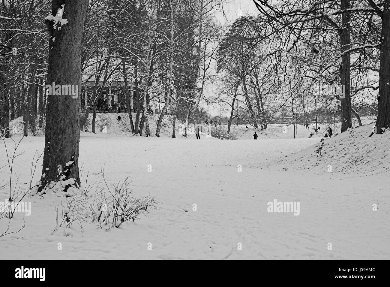 park,slope,sledge,bob run,snow,mountain,child,children,kids,wilhelmsbad,spass Stock Photo