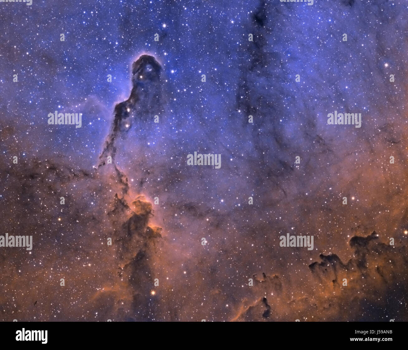 IC 1396 Elephant Trunk Nebula Stock Photo
