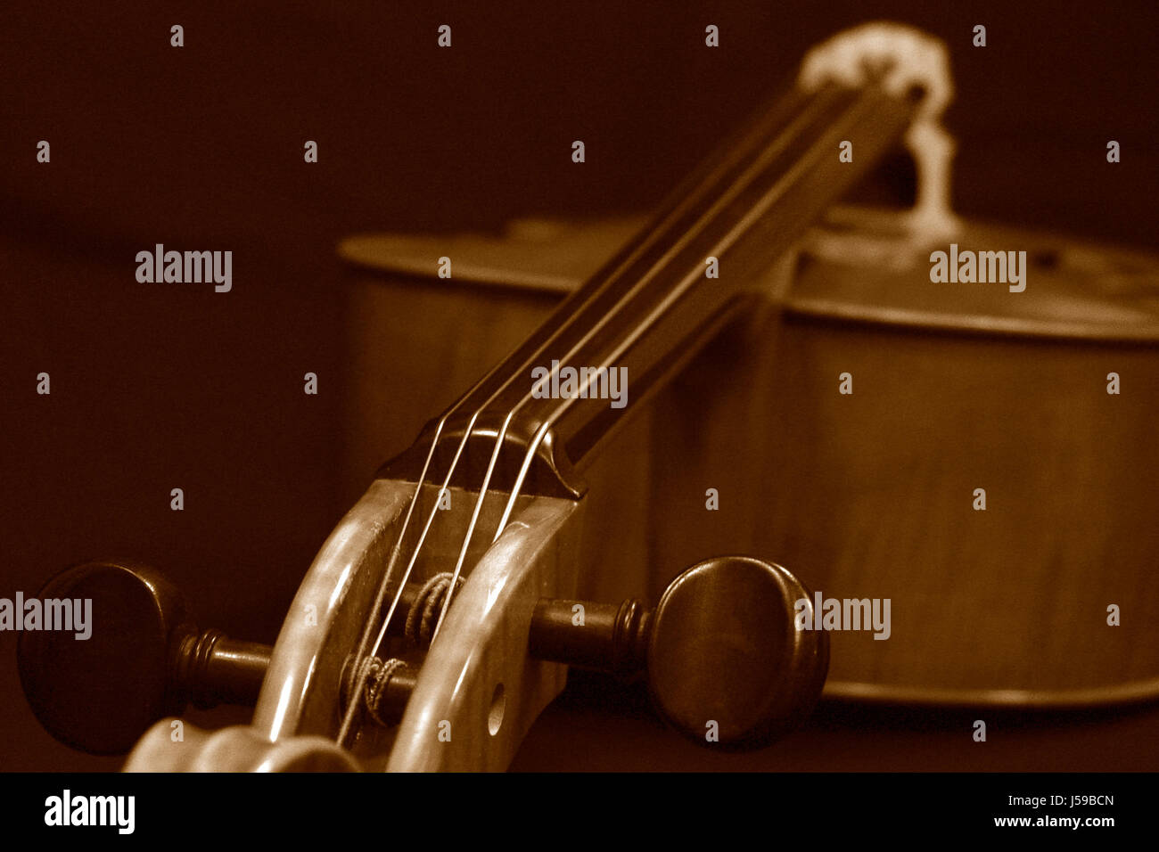 sepia classical violin bowed instrument duplex fingerboard cello