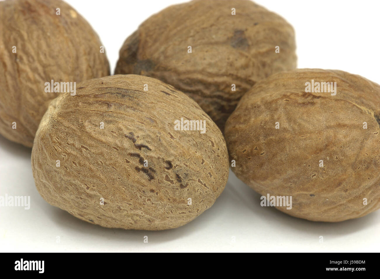 nutmegs Stock Photo Alamy