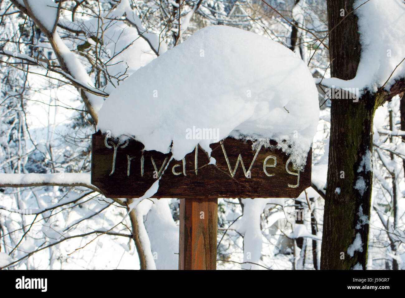 sign signal private tree trees winter wood ice signposts armour hint path way Stock Photo
