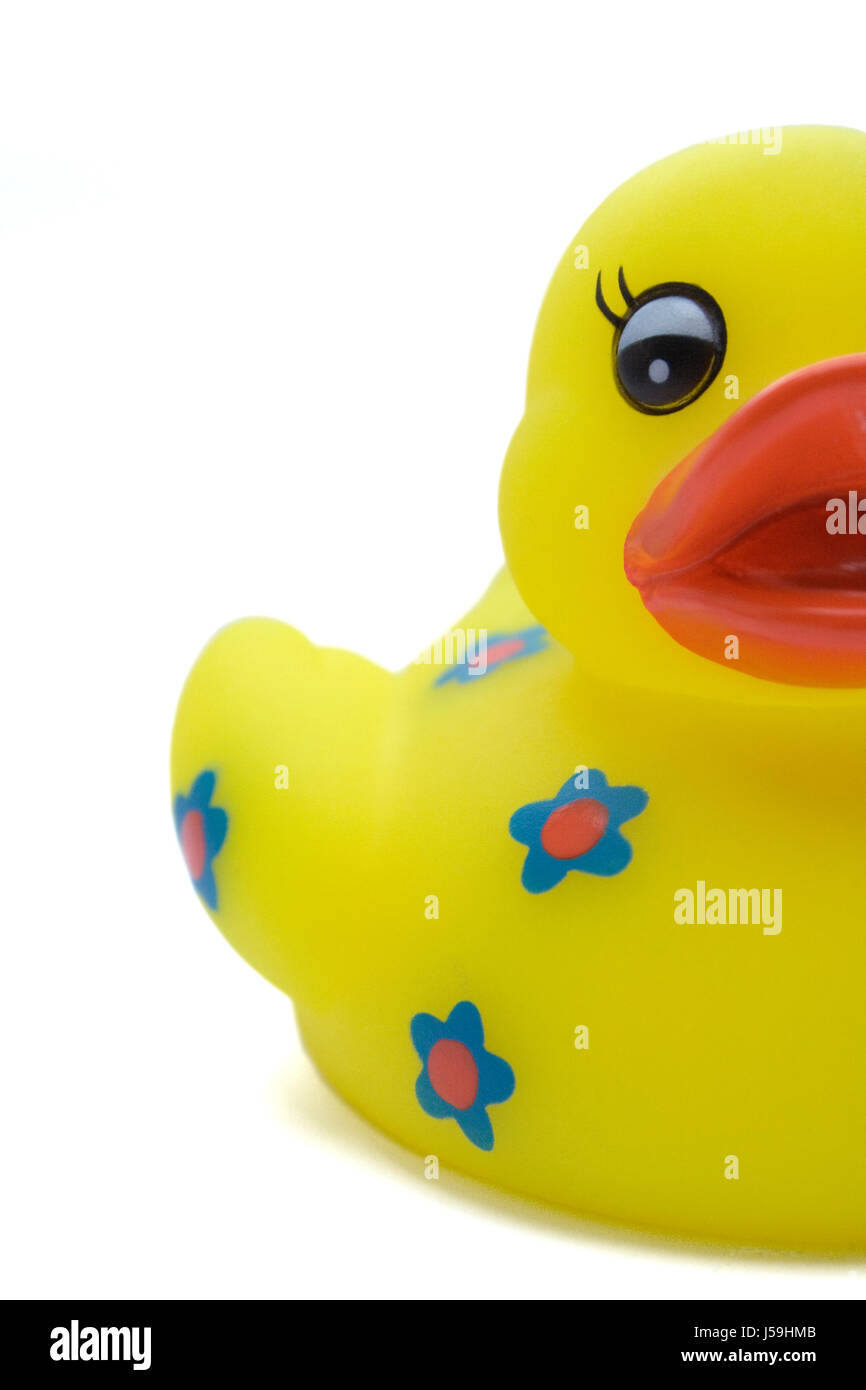the rubber ducks Stock Photo Alamy