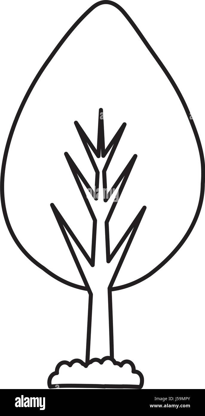 tree plant isolated icon Stock Vector Image & Art - Alamy