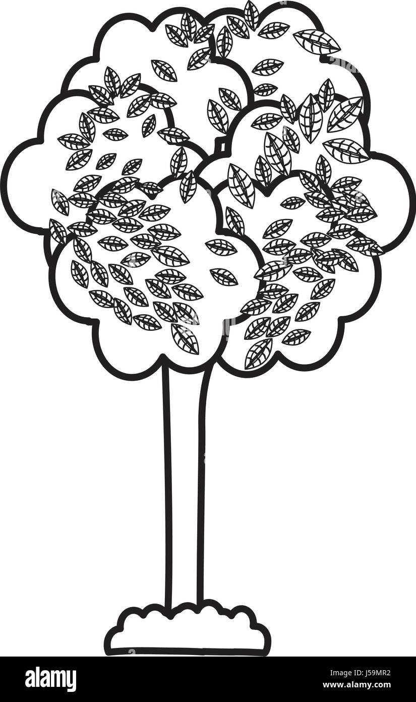 tree plant isolated icon Stock Vector Image & Art - Alamy