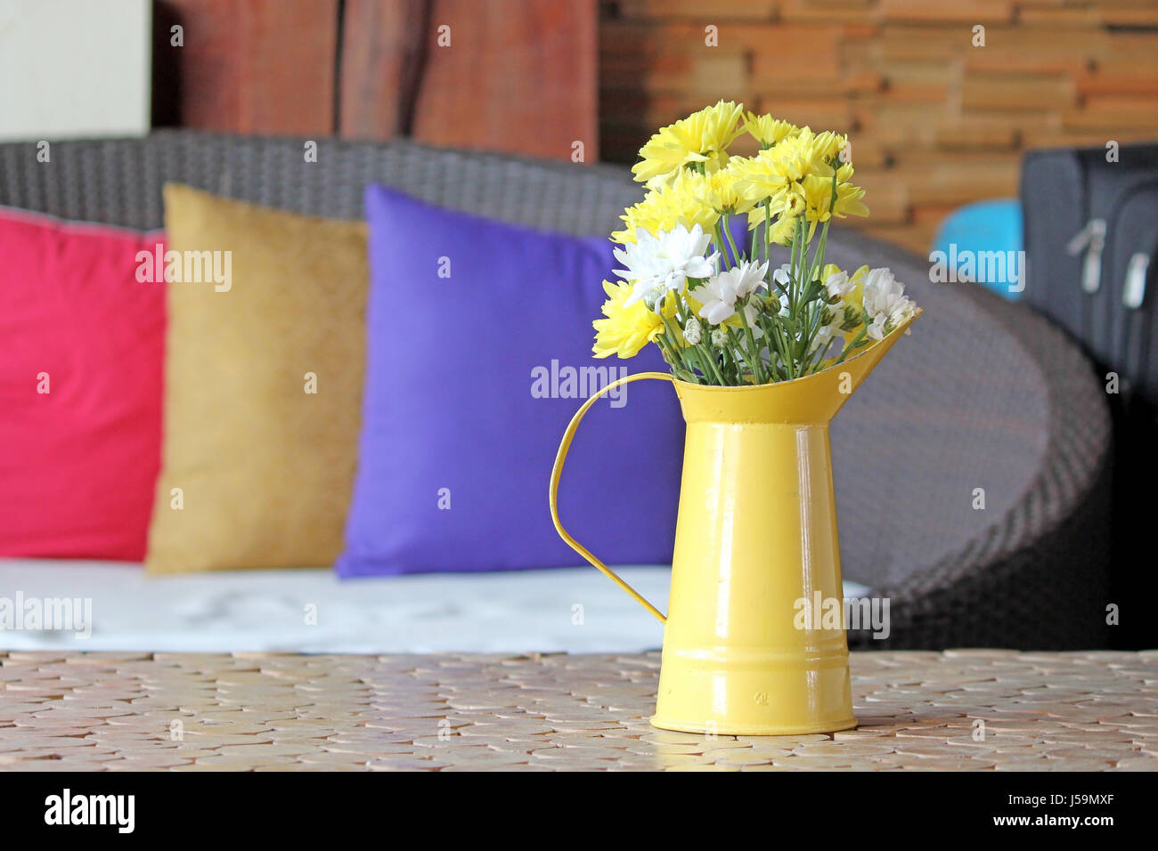 yellow and white chrysanthemum in small watering flower pot on table decorated in living room Stock Photo