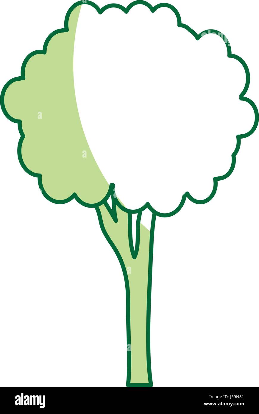 tree plant isolated icon Stock Vector Image & Art - Alamy