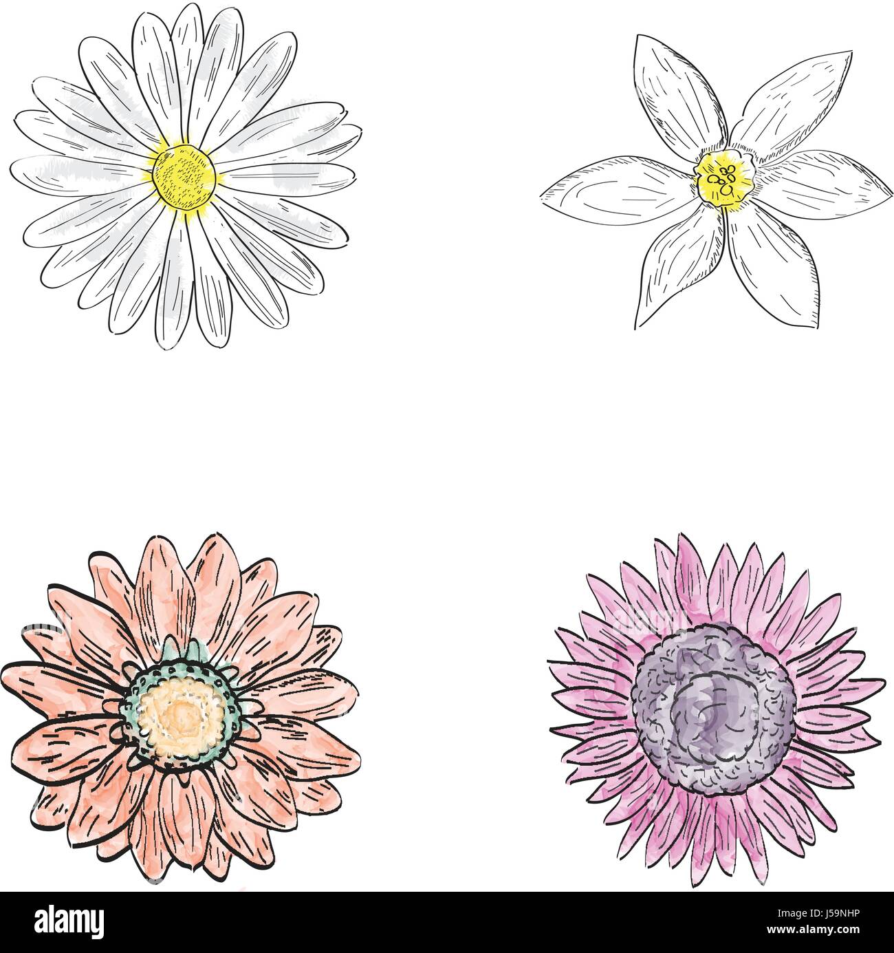 Set of flowers Stock Vector Image & Art - Alamy