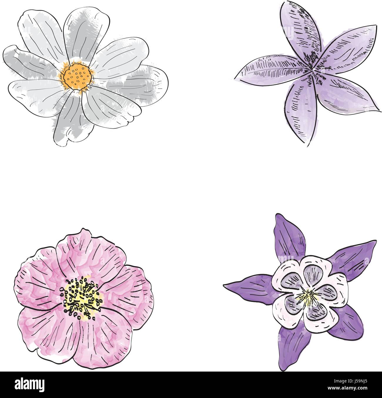 Set of flowers Stock Vector Image & Art - Alamy