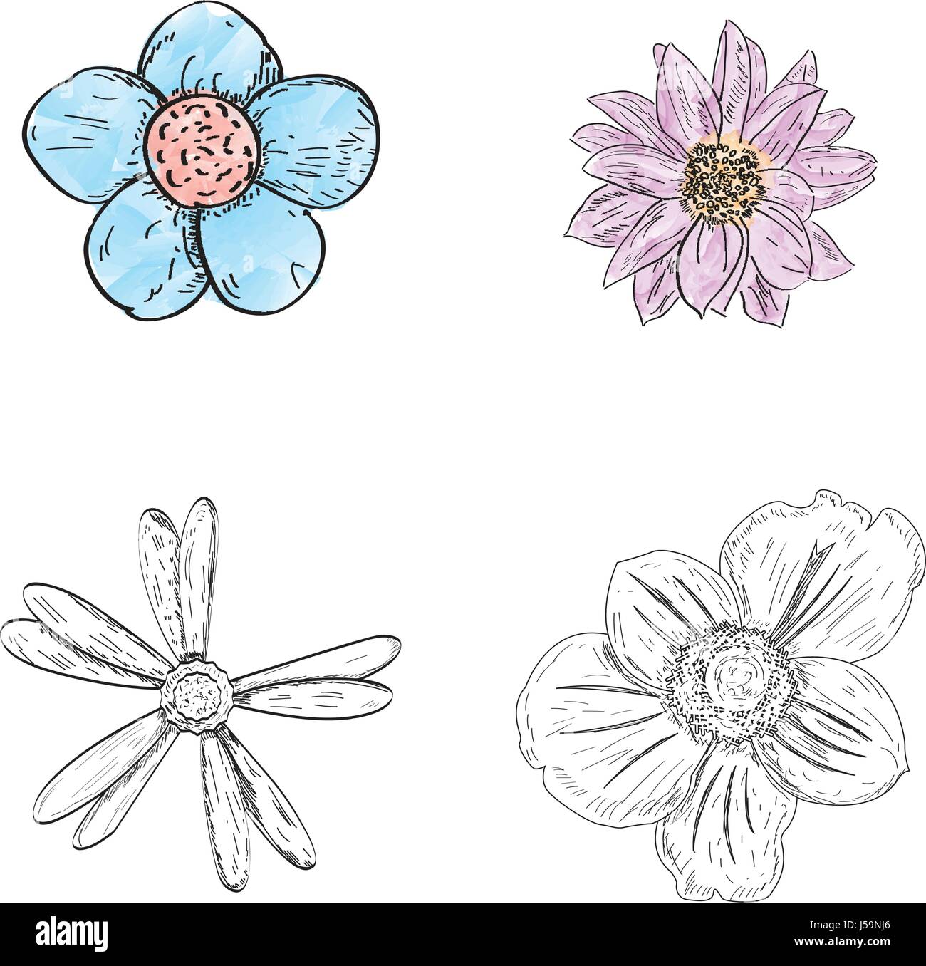 Set of flowers Stock Vector Image & Art - Alamy