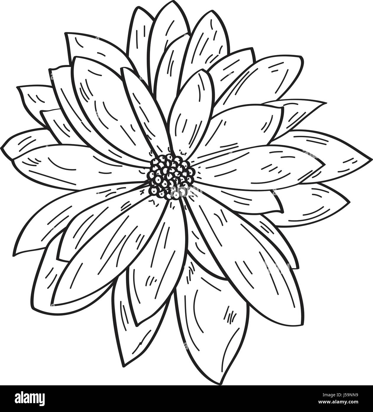 Isolated vintage flower Stock Vector