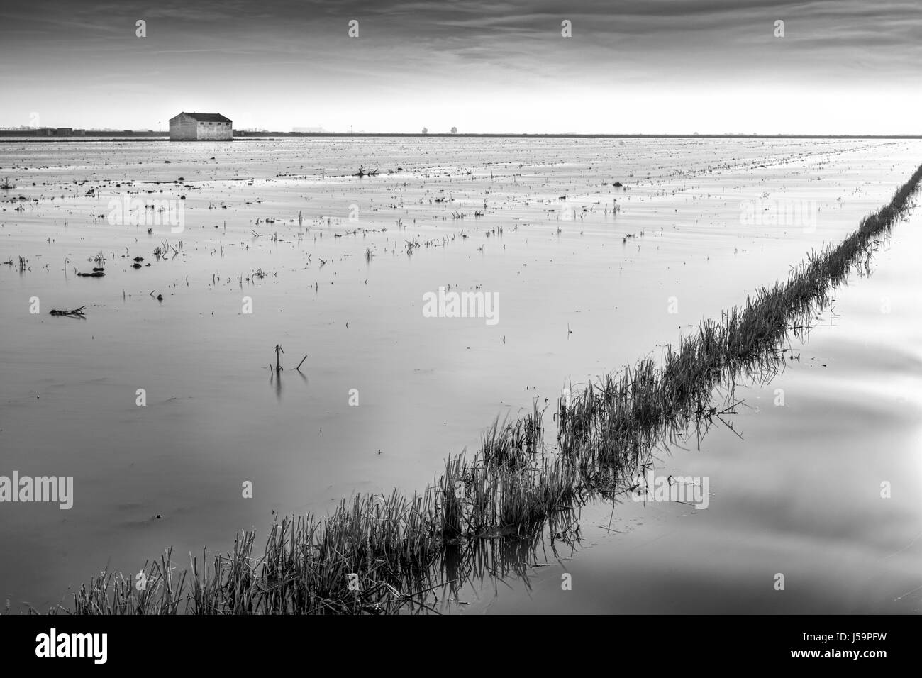 Black and white image of a harvested rice field, Isla Mayor, Seville, Spain Stock Photo