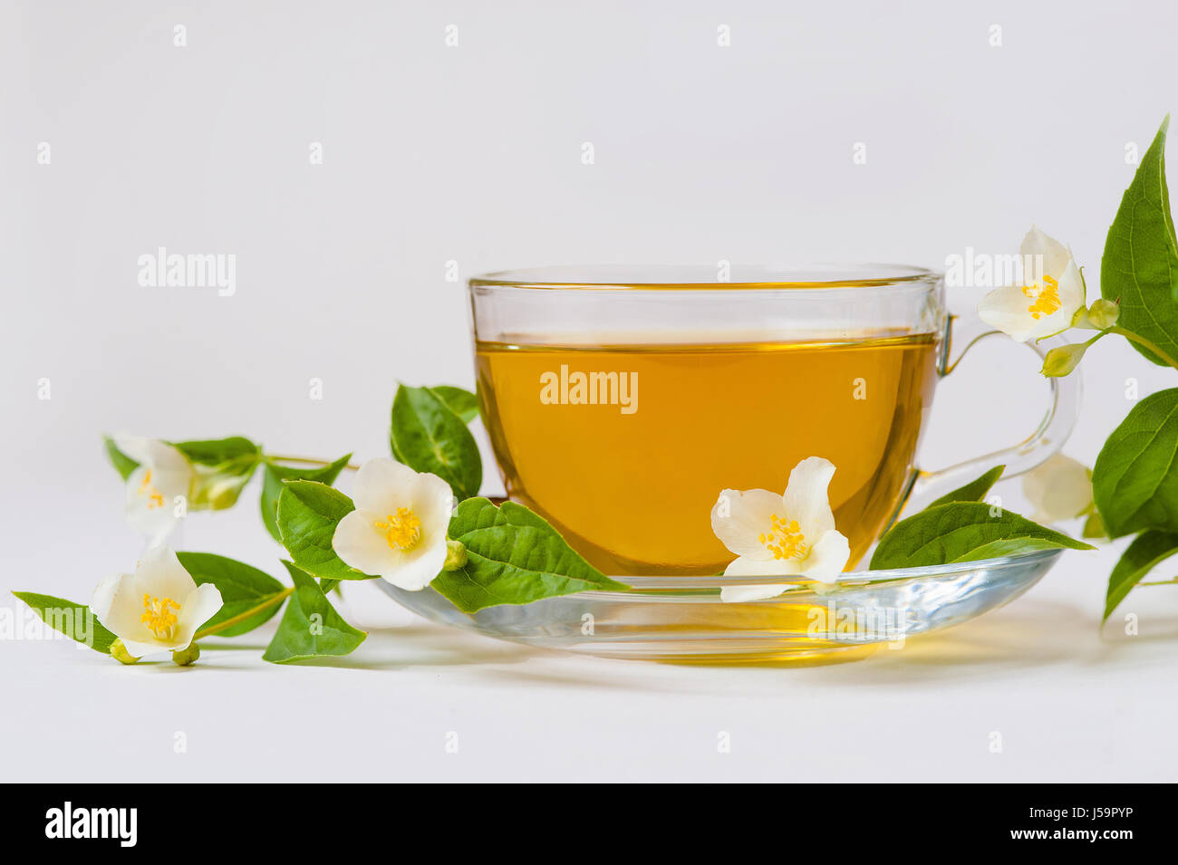 Jasmine tea and Jasmine flowers on a white background Stock Photo