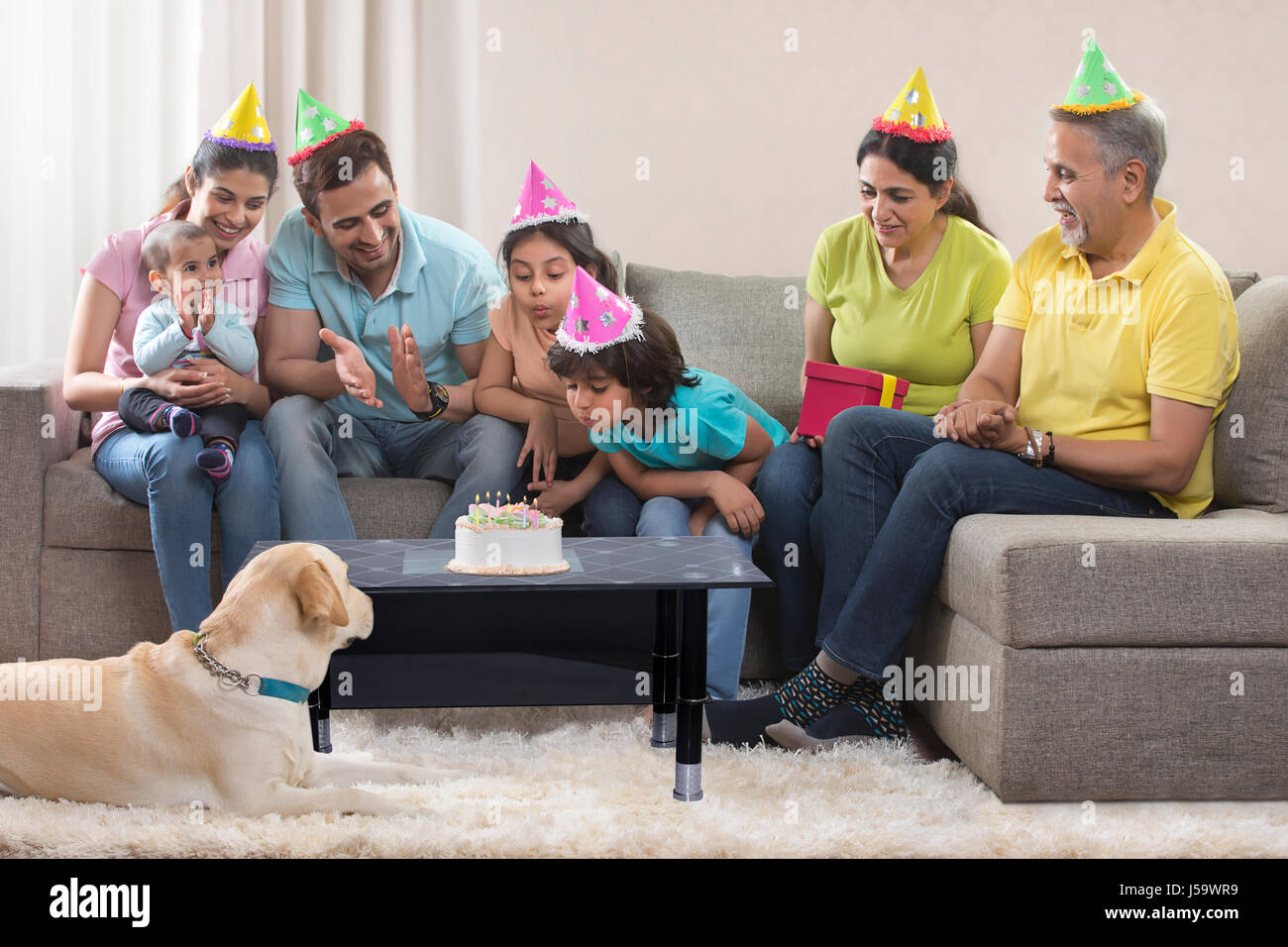 Multi-generation family with dog celebrating birthday party Stock Photo