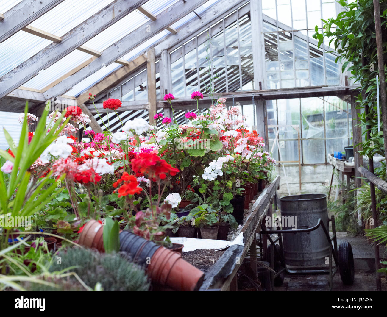 Film greenhouse hi-res stock photography and images - Alamy