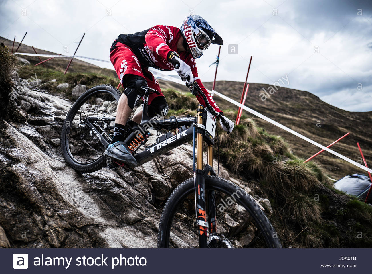 trek factory racing downhill