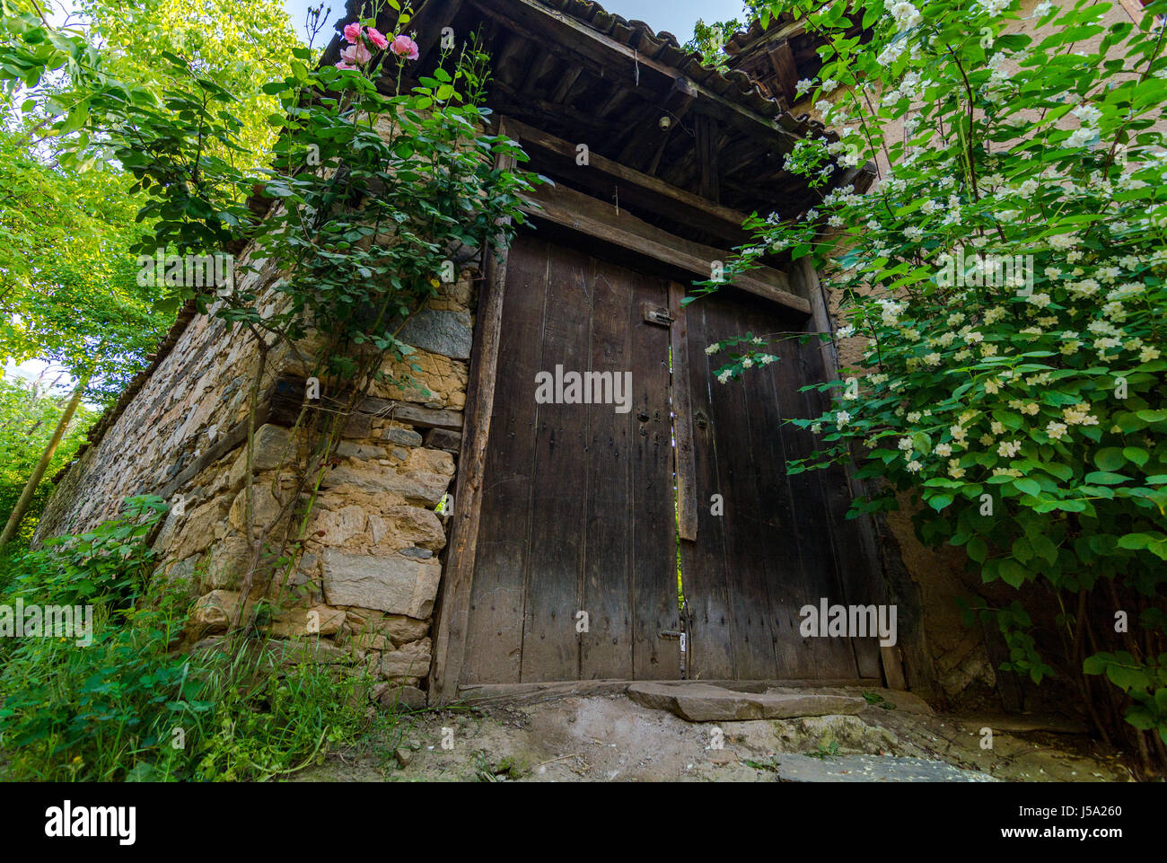 Wooden Garden Door Stock Photo