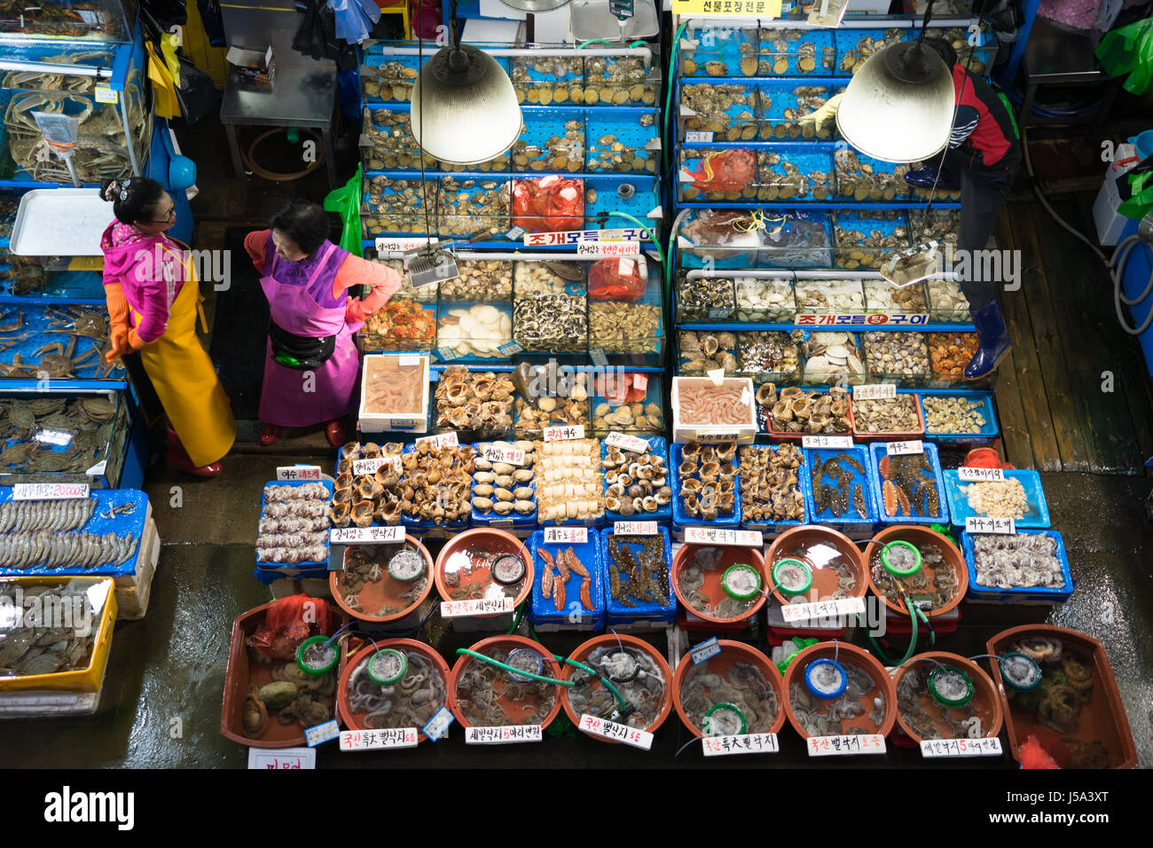 noryangjin fish market in seoul south korea Stock Photo Alamy
