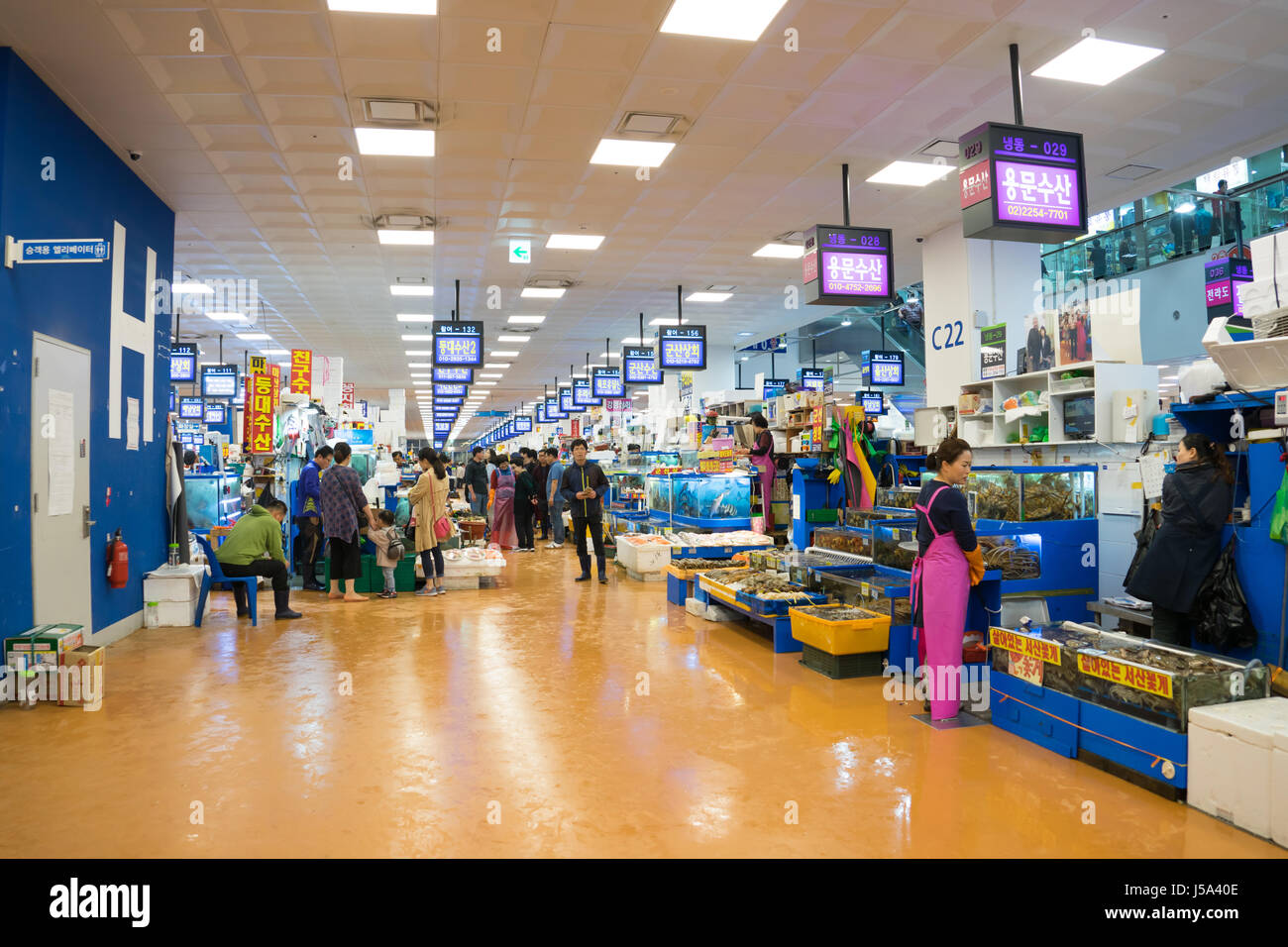 noryangjin fish market in seoul south korea Stock Photo Alamy