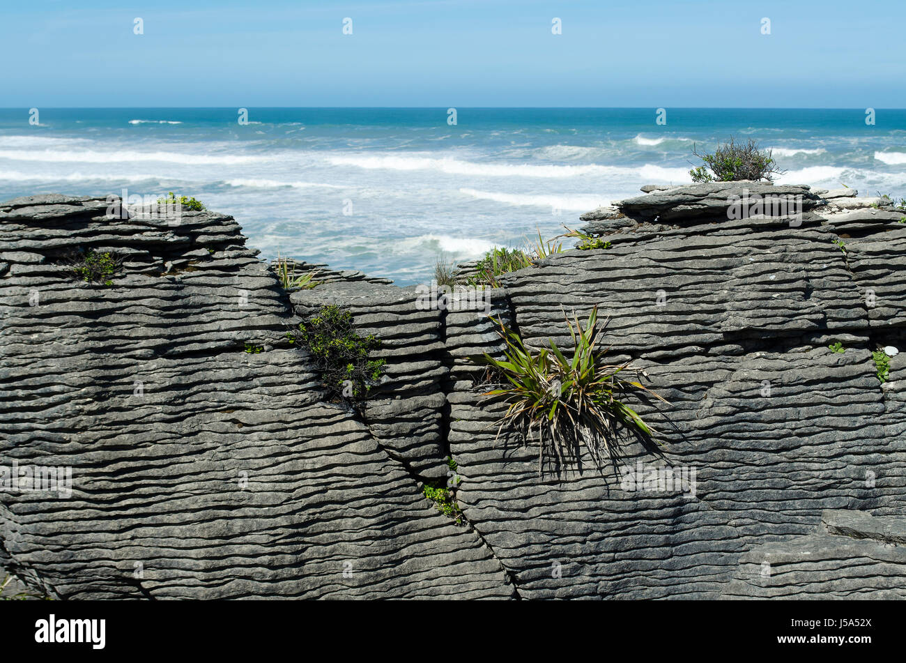 pancake rocks in new zealand