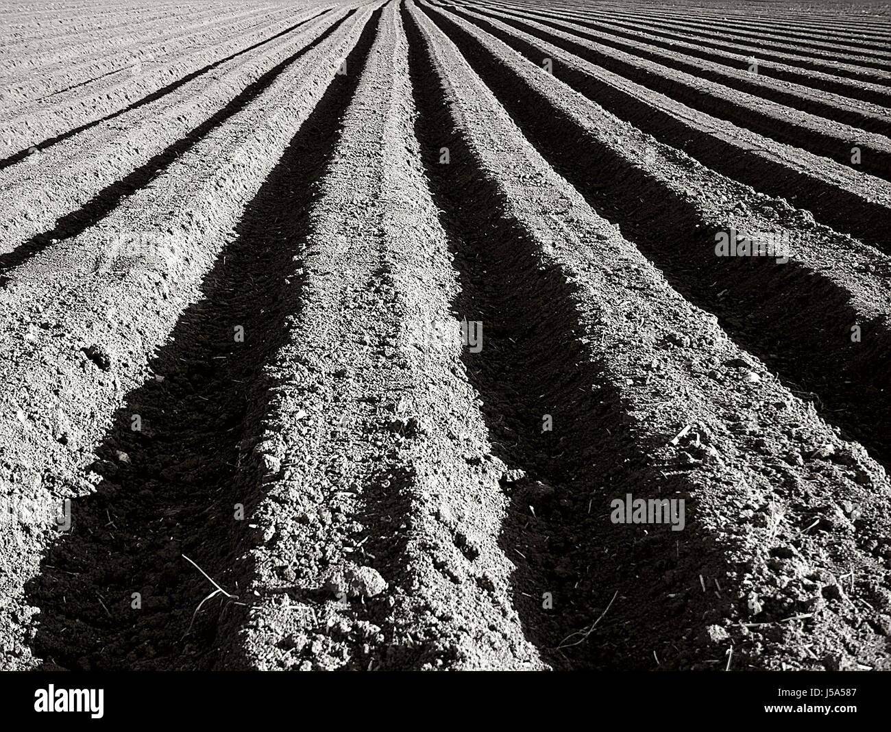 Farming figure hi-res stock photography and images - Alamy