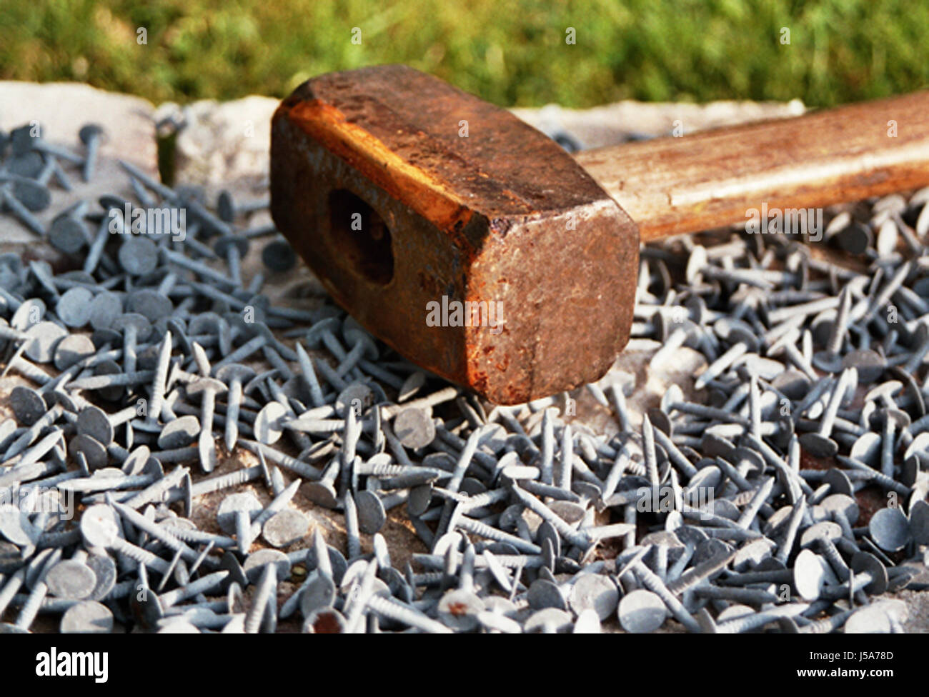 hammerhead on nails Stock Photo Alamy