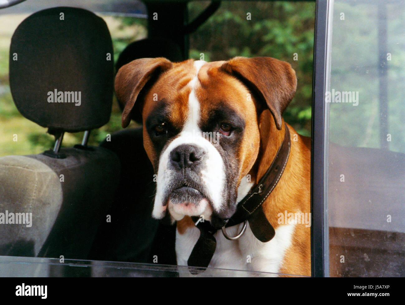 window porthole dormer window pane car automobile vehicle means of