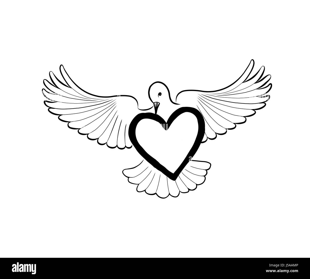 Love heart brought by flying bird dove. Valentine day greeting concept.  Bridal wed sign Stock Vector Image & Art - Alamy