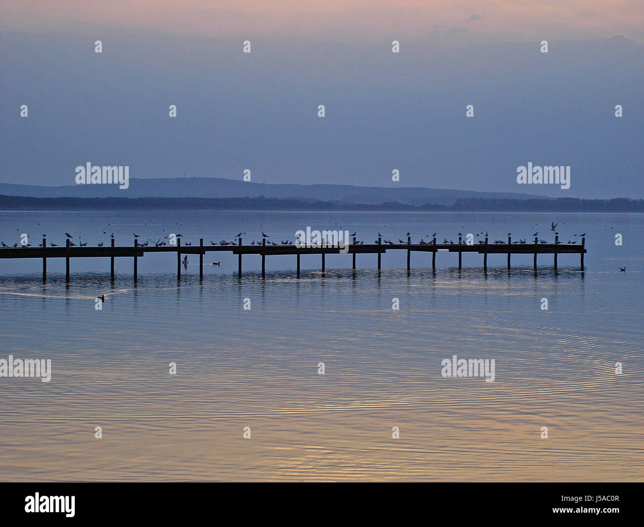 bridge ducks east setting sun germany german federal republic scenery Stock Photo