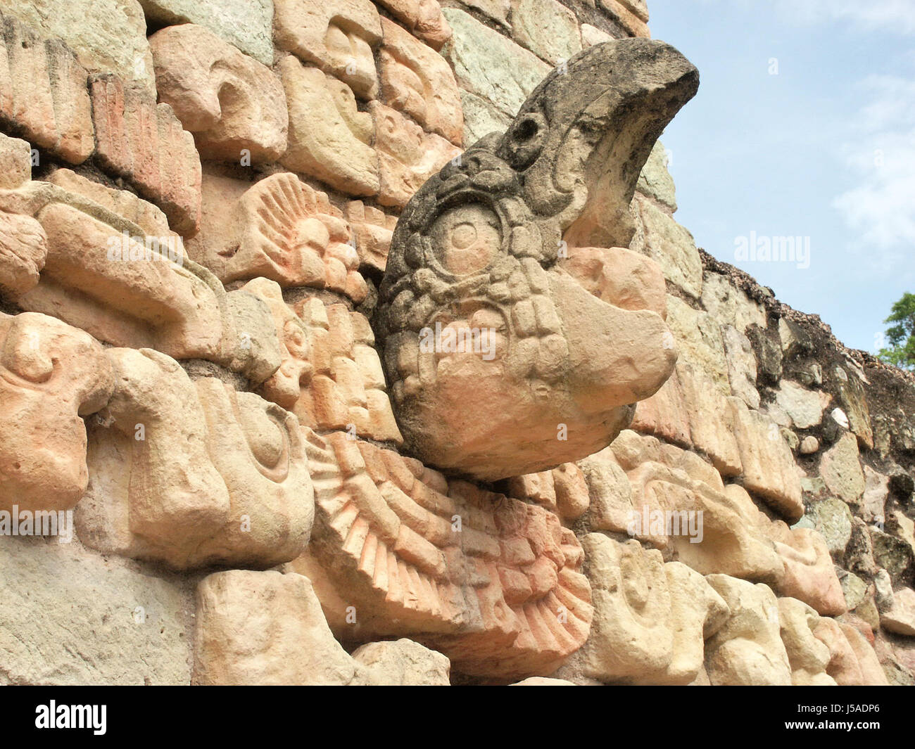 culture,bird,sculpture,birds,central america,honduras,maya,copan,ballspielplatz Stock Photo