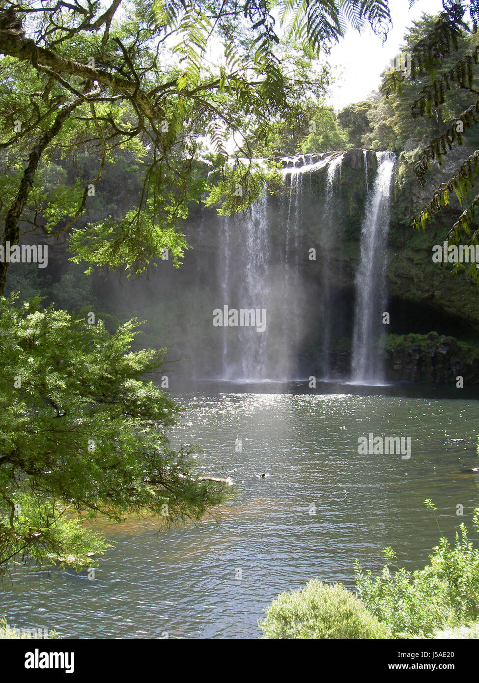 waterfall in new zealand Stock Photo - Alamy