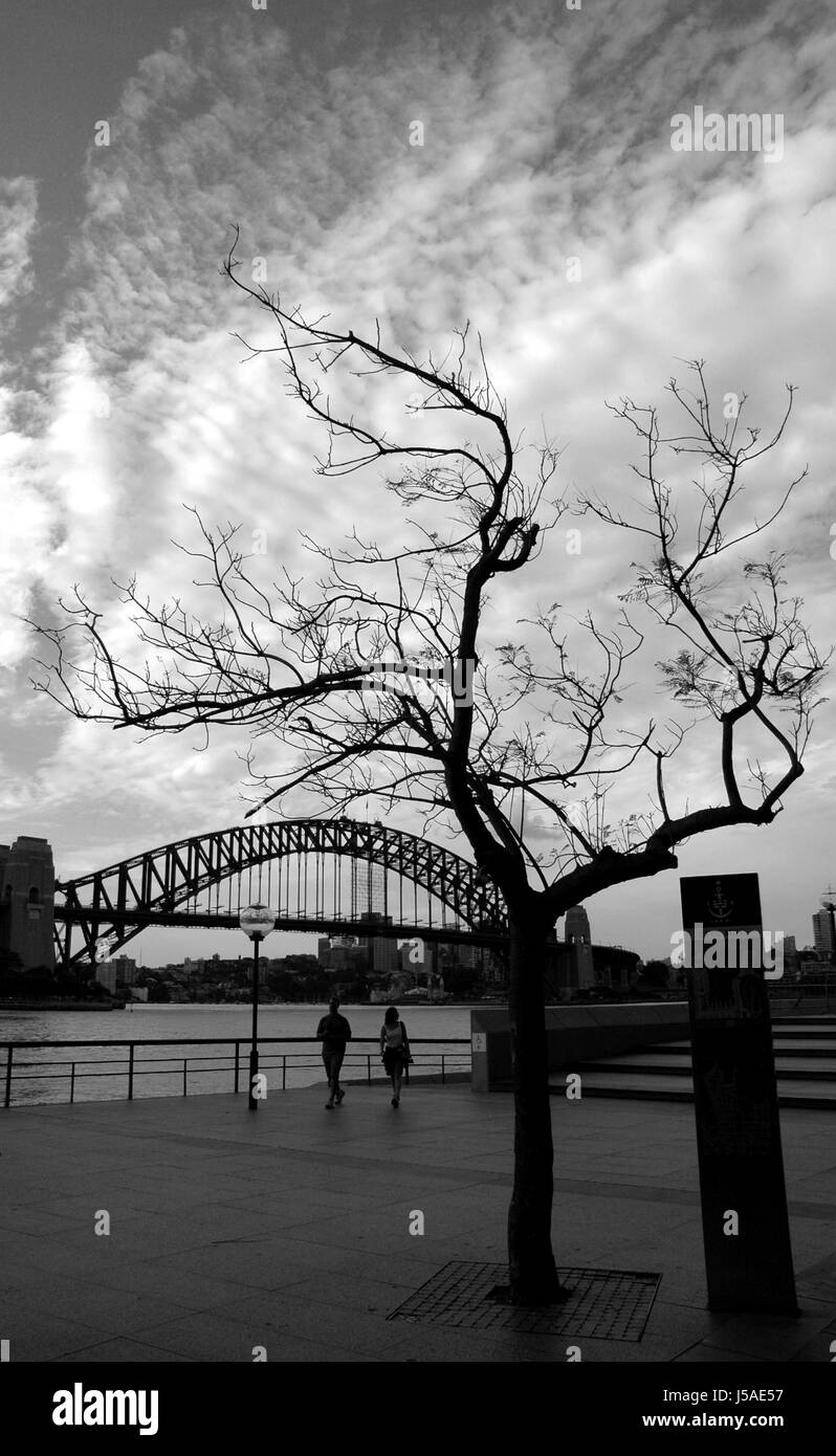 city town city life tree traffic transportation bw australia opera perspective Stock Photo