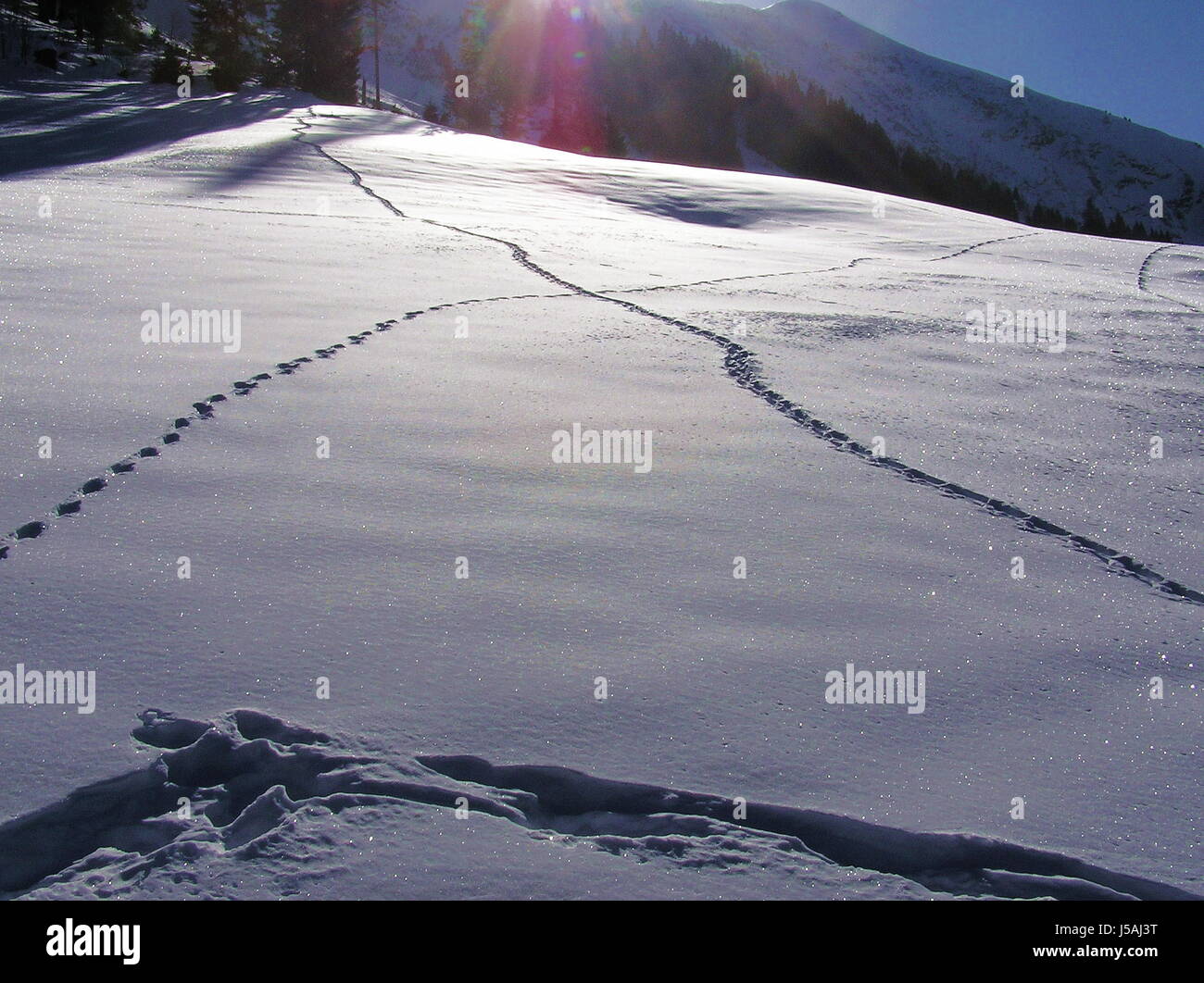 mountains sense glitter snow shine shines bright lucent light serene luminous Stock Photo