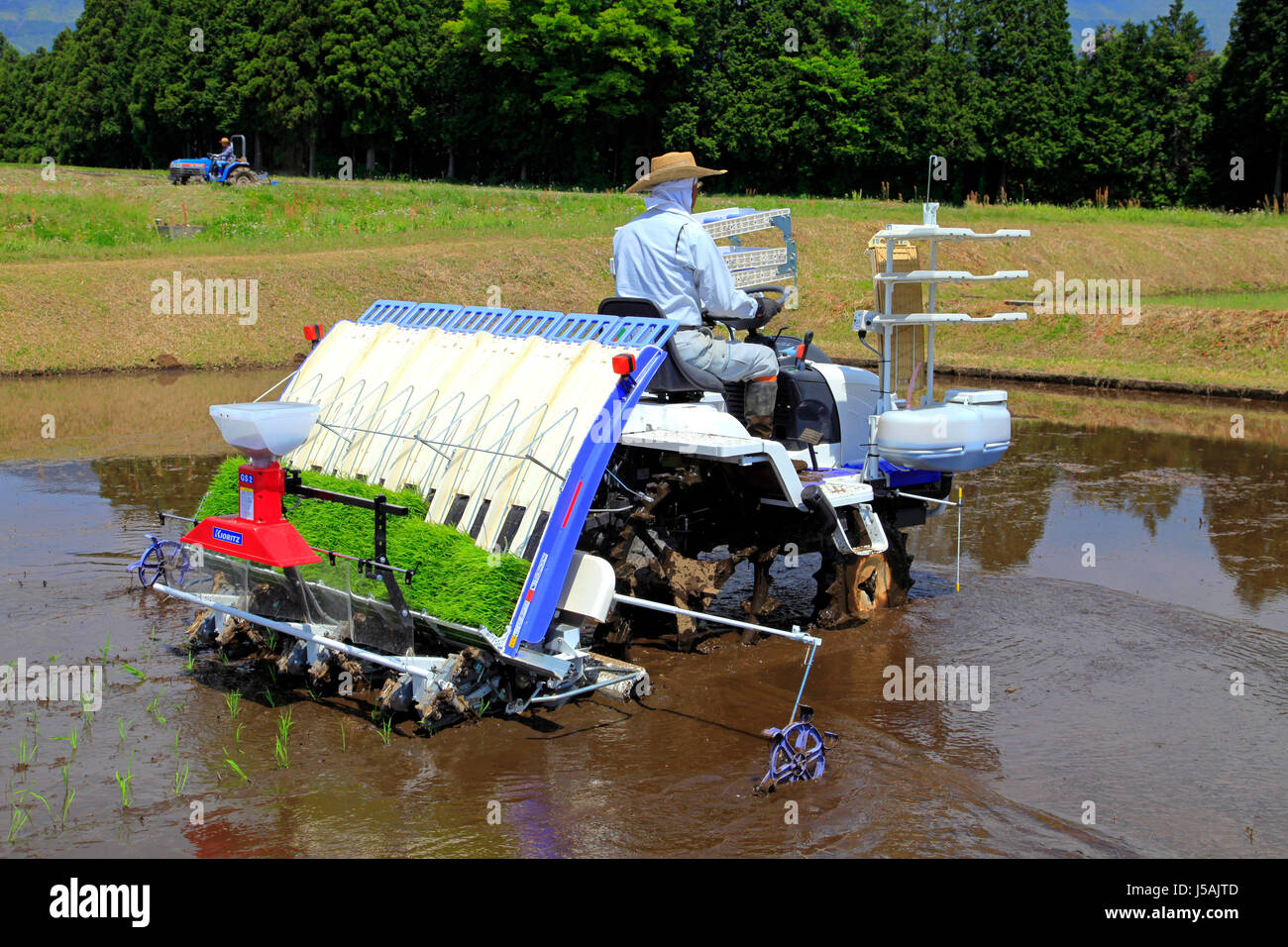 Japan rice farm hi-res stock photography and images - Alamy