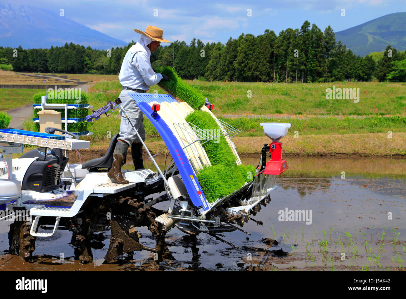 A Farmer Loading Rice Seedlings on Transplanter in Oyama-cho Shizuoka Japan Stock Photo