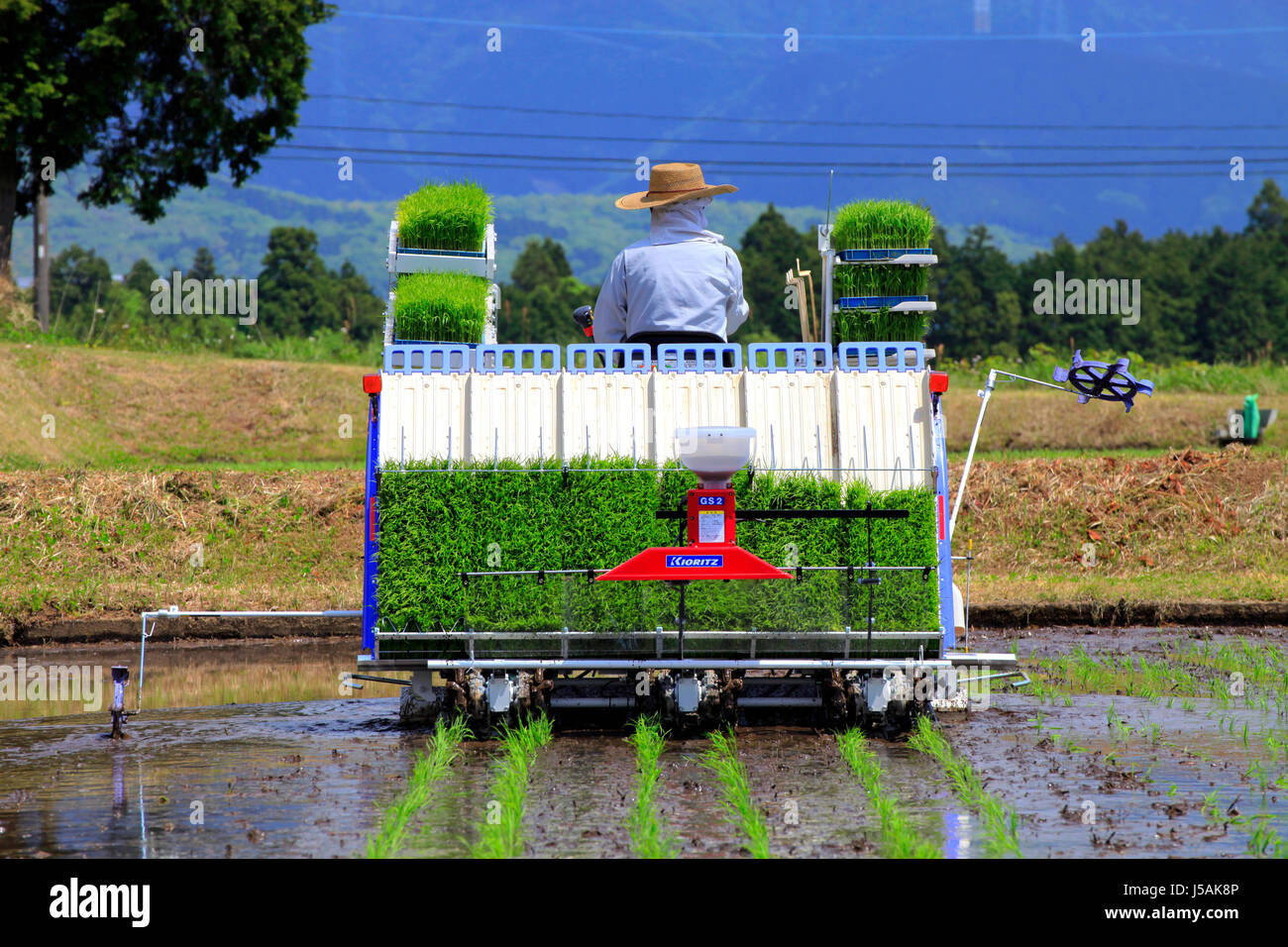 A Farmer Drives Rice Transplanter in Oyama-cho Shizuoka Japan Stock Photo