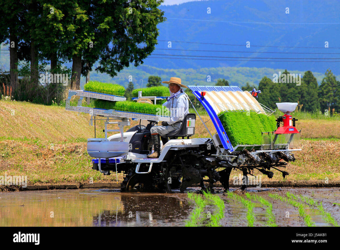 A Farmer Drives Rice Transplanter in Oyama-cho Shizuoka Japan Stock ...